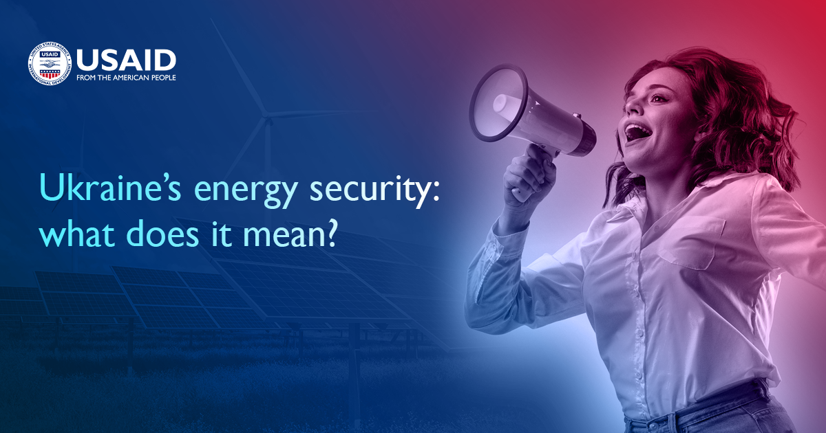 energy security essay